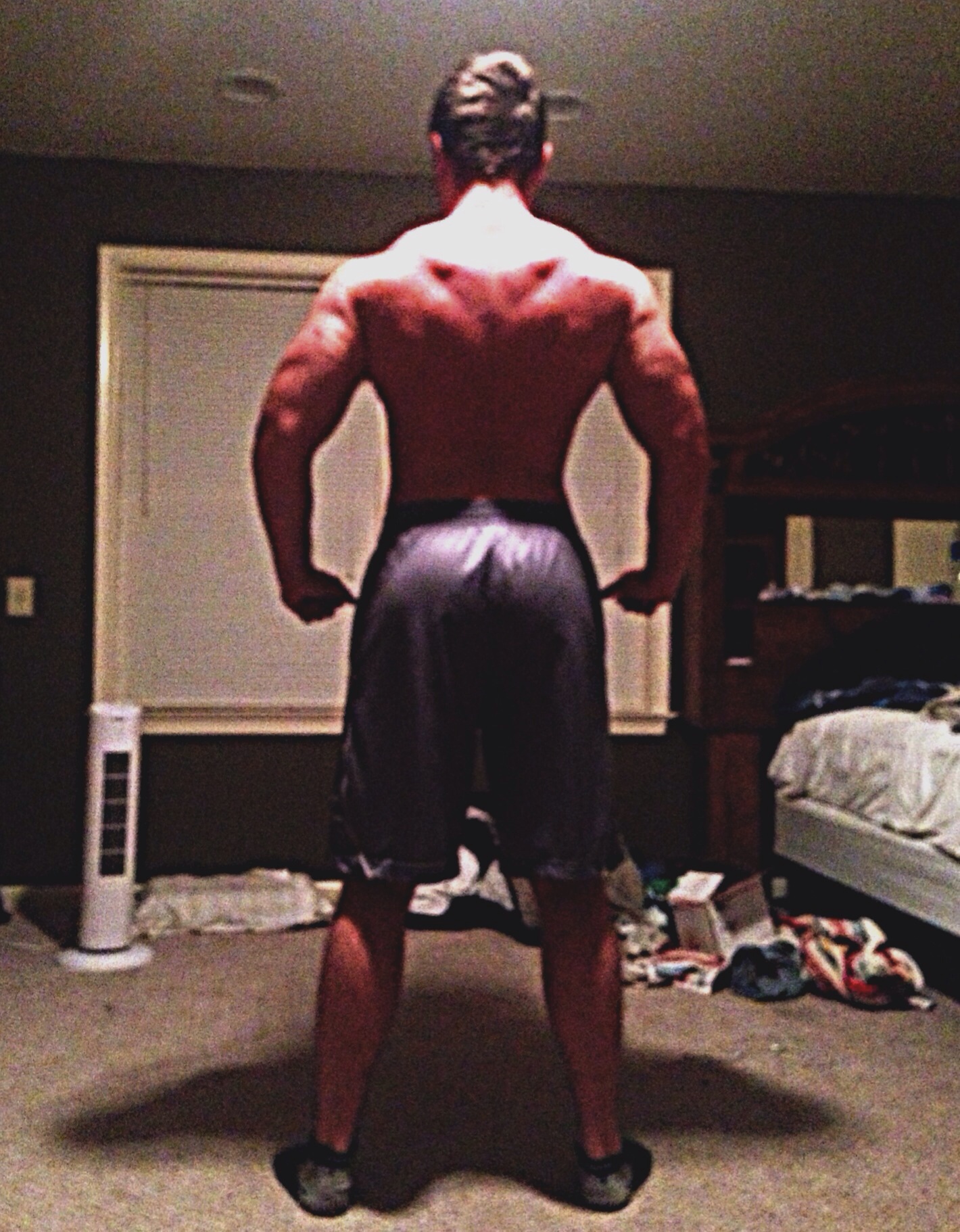 Picture: Back Shot Bulk 205lbs