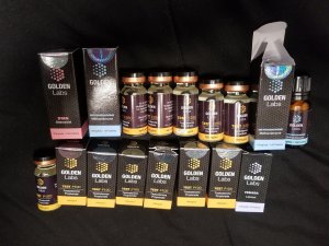 Picture: Golden labs gear