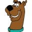 scoobydoo's picture
