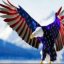 pokeyrider1's picture