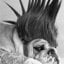 SemperFi93's picture