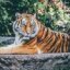 skydancer4's picture