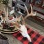 OscarWildwood's picture