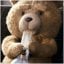 TED's picture