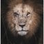 Jc74s's picture