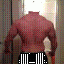 Thecrazeddog6's picture