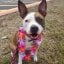 Bodhi's picture