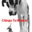 Chidoman's picture