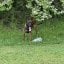 Riseabove109's picture