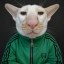 GrayRaminator7's picture