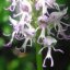 BigEO's picture