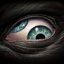 shiva4's picture