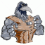 Raven43's picture