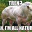 treadinontren's picture