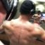 Detroitmuscle000's picture