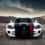 Dodge Viper's picture