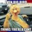 D_BLOCK's picture