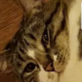 Small_fry's picture