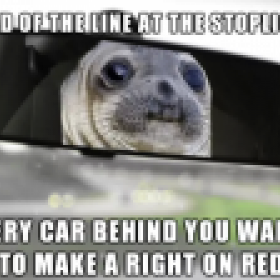beerman99's picture