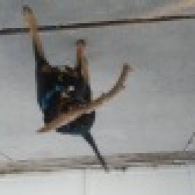 makinit01's picture
