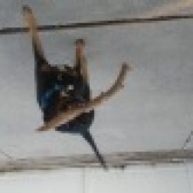 makinit01's picture