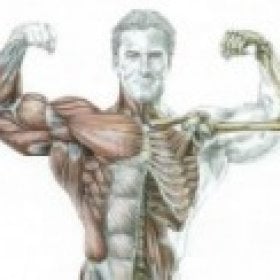 arm0's picture