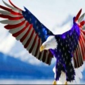 pokeyrider1's picture