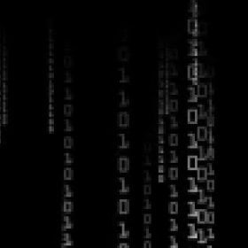 binary's picture