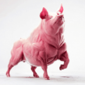 Fetzig Schwein's picture