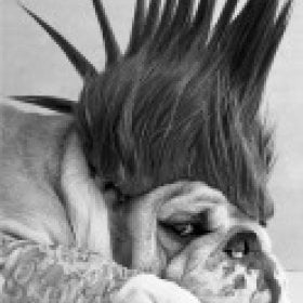 SemperFi93's picture