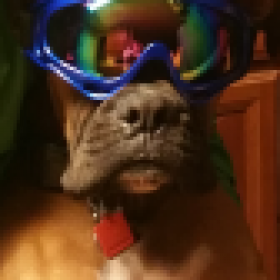 Boxerchief's picture