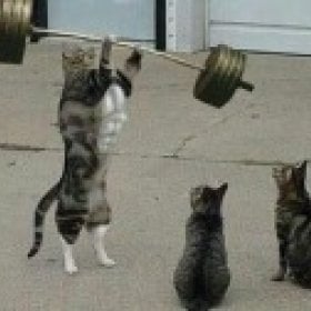 Weight Elevator's picture