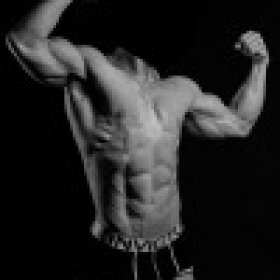 reyd007's picture