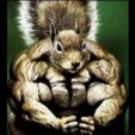 Squirrel's picture