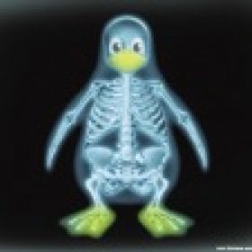 X-Ray_Vamp's picture