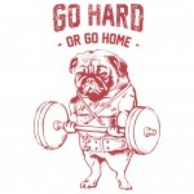 DrPugDad's picture