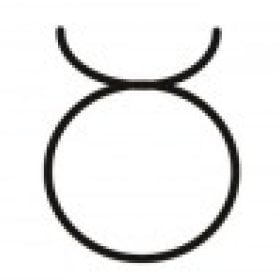 taurus the bull's picture