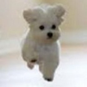 I make you woof's picture