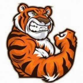 Tigerr's picture