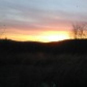 gee 3179's picture