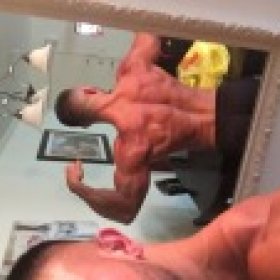 gearlord11's picture