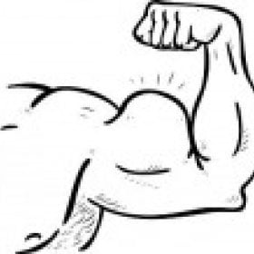 spike's picture