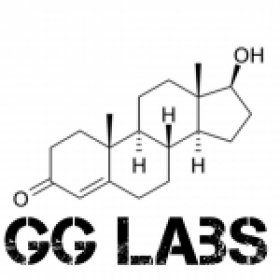 GGlabs's picture