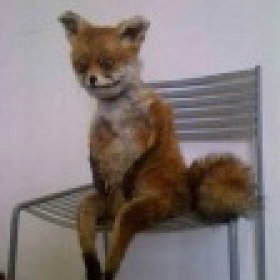 foxtailsushi's picture