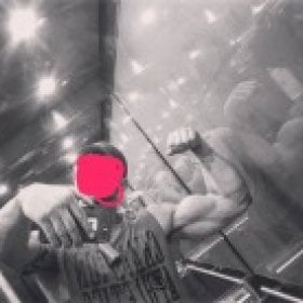 GulfCoastGorilla's picture