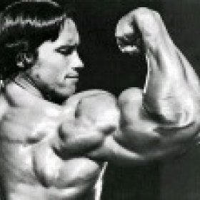 otypico's picture