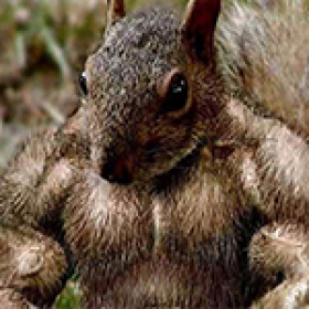 Karl JR's picture