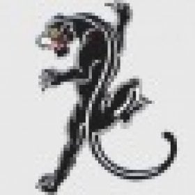 Panther-Labs's picture