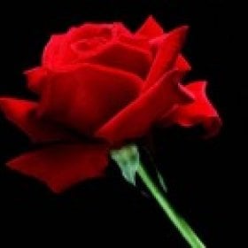 arthuro85's picture