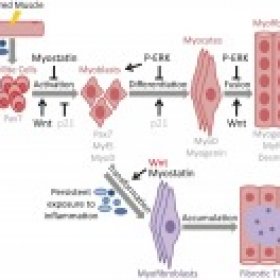 Physiology's picture